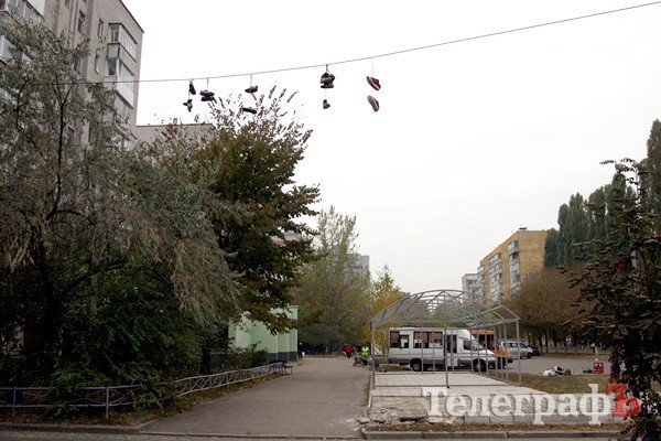 Приколы нашего городка Приколы нашего городка