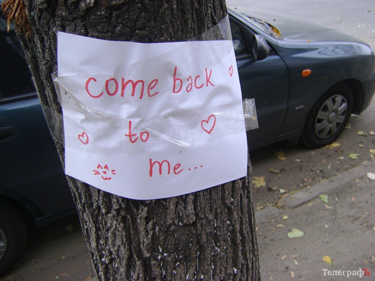 Приколы нашего городка: «Любимый, вернись!!!» (ФОТО) Приколы нашего городка: «Любимый, вернись!!!» (ФОТО)