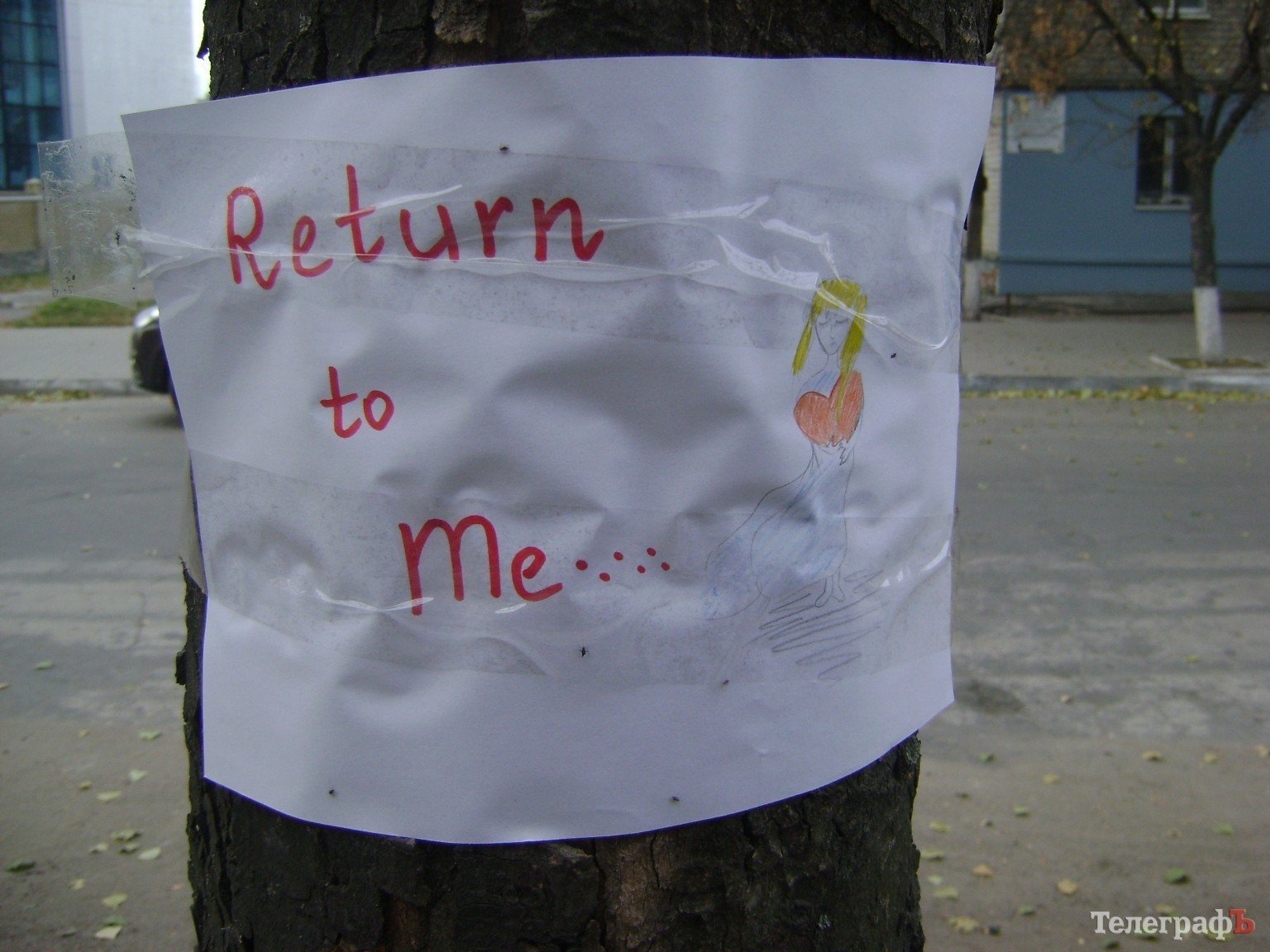 Приколы нашего городка: «Любимый, вернись!!!» (ФОТО) Приколы нашего городка: «Любимый, вернись!!!» (ФОТО)