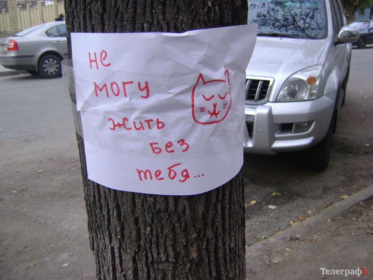 Приколы нашего городка: «Любимый, вернись!!!» (ФОТО) Приколы нашего городка: «Любимый, вернись!!!» (ФОТО)