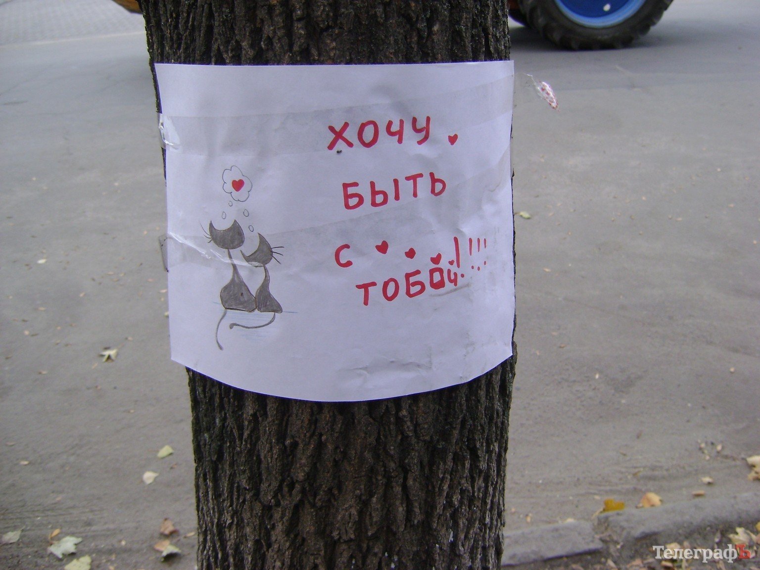 Приколы нашего городка: «Любимый, вернись!!!» (ФОТО) Приколы нашего городка: «Любимый, вернись!!!» (ФОТО)