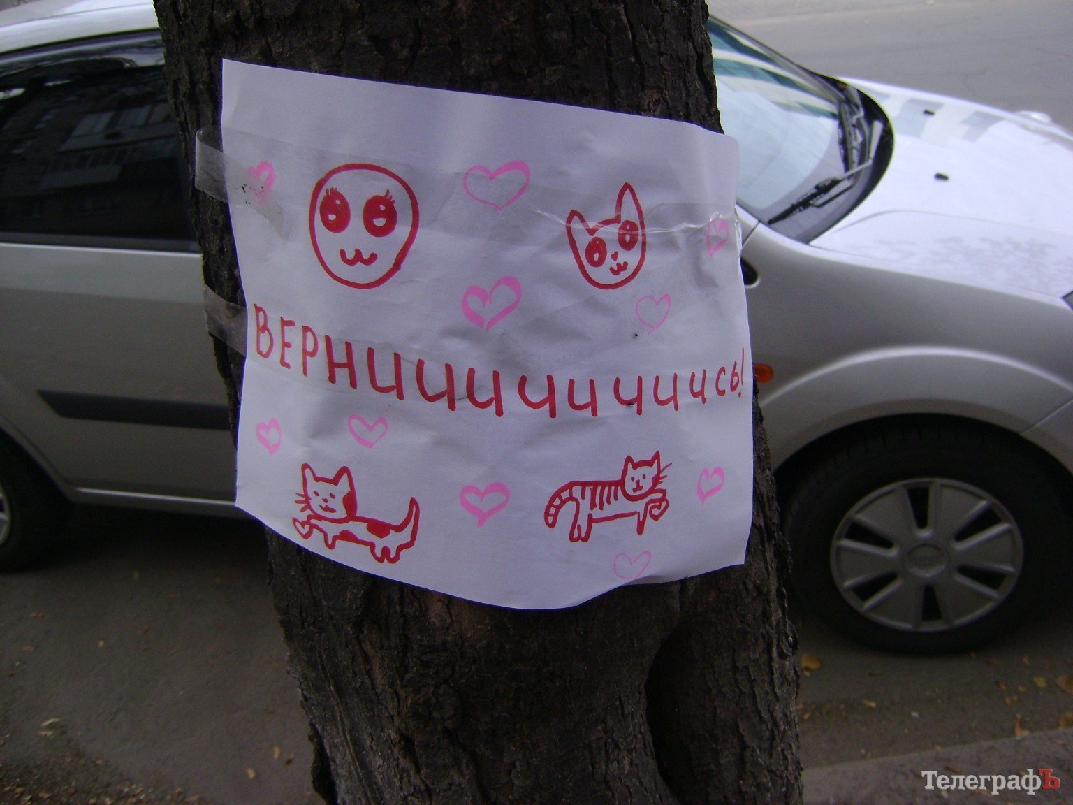 Приколы нашего городка: «Любимый, вернись!!!» (ФОТО) Приколы нашего городка: «Любимый, вернись!!!» (ФОТО)