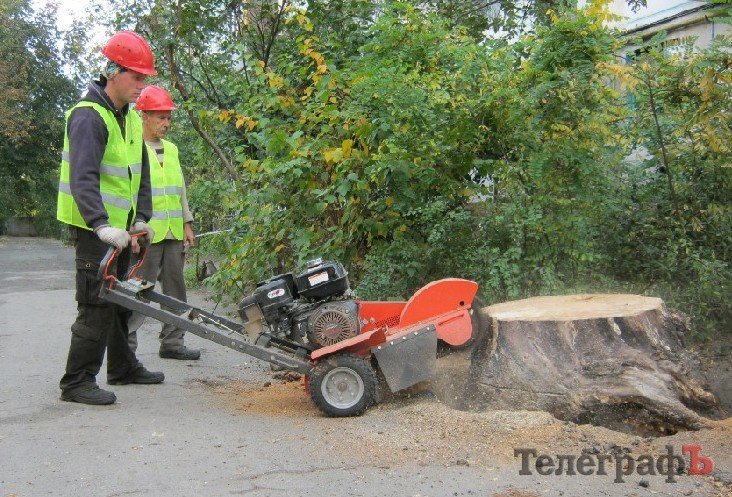 Уборка пеньков Уборка пеньков