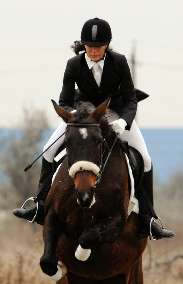 КОННЫЙ СПОРТ. Открытый кубок «Silver Foal». Триумф Оксаны Андреевой. КОННЫЙ СПОРТ. Открытый кубок «Silver Foal». Триумф Оксаны Андреевой.