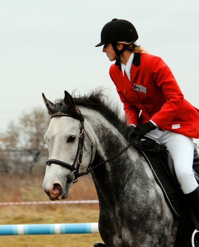КОННЫЙ СПОРТ. Открытый кубок «Silver Foal». Триумф Оксаны Андреевой. КОННЫЙ СПОРТ. Открытый кубок «Silver Foal». Триумф Оксаны Андреевой.