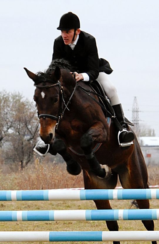 КОННЫЙ СПОРТ. Открытый кубок «Silver Foal». Триумф Оксаны Андреевой. КОННЫЙ СПОРТ. Открытый кубок «Silver Foal». Триумф Оксаны Андреевой.