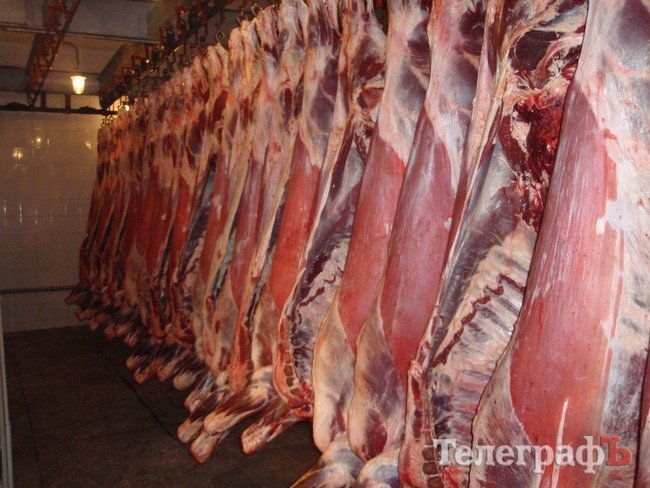 «Кременчугмясо» сдало образцы продукции для независимого аудита производителей мяса и мясопродуктов «Кременчугмясо» сдало образцы продукции для независимого аудита производителей мяса и мясопродуктов