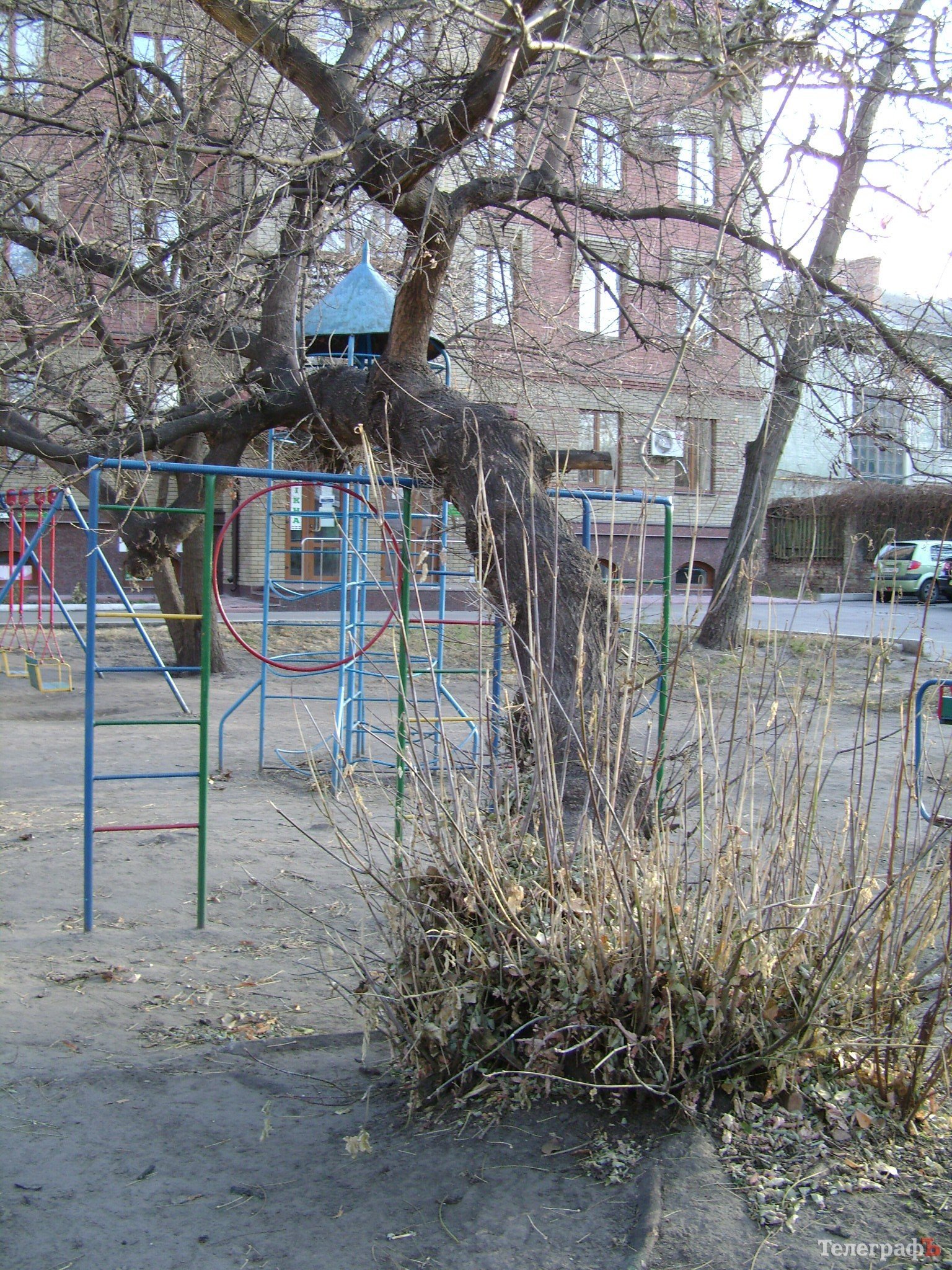 В Кременчуге дерево упало рядом с детским садиком (УТОЧНЕНО) В Кременчуге дерево упало рядом с детским садиком (УТОЧНЕНО)