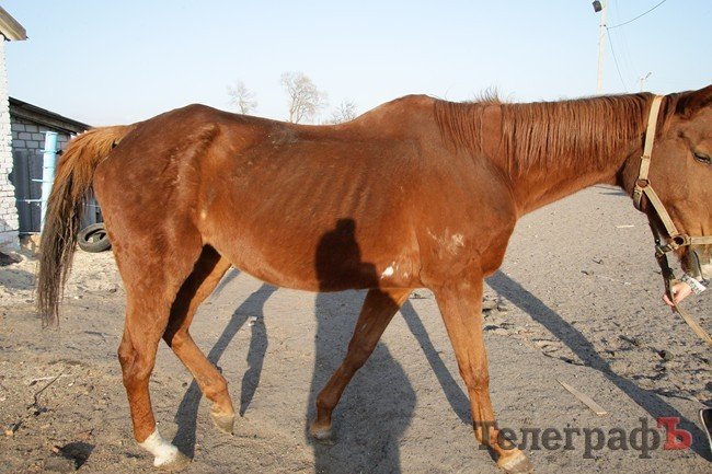 Берра Берра