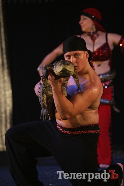 Цирк на воде Цирк на воде