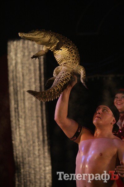 Цирк на воде Цирк на воде