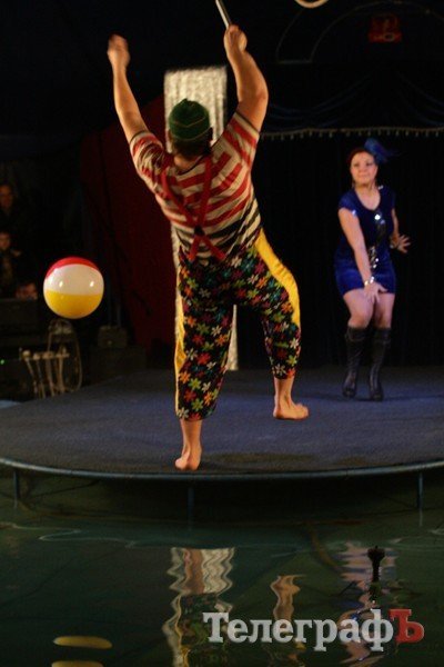 Цирк на воде Цирк на воде