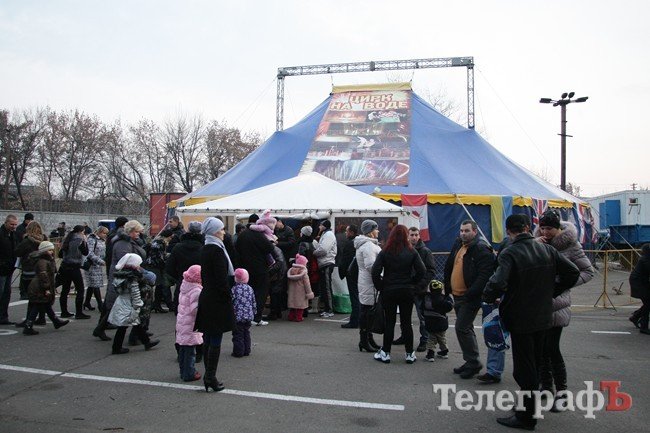 Цирк на воде Цирк на воде