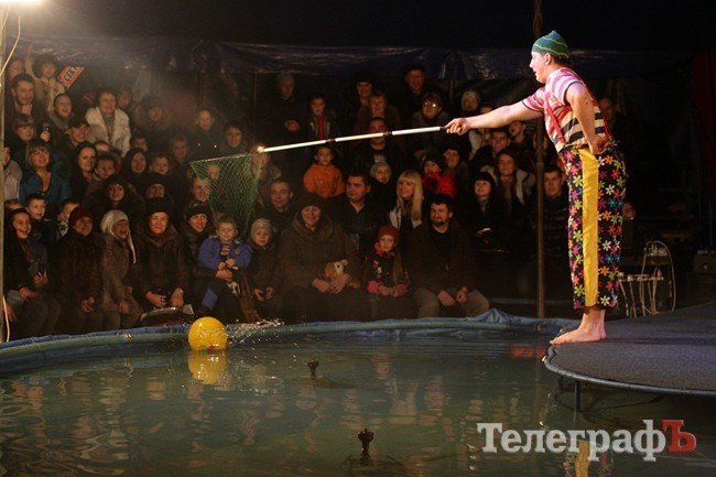 Цирк на воде Цирк на воде