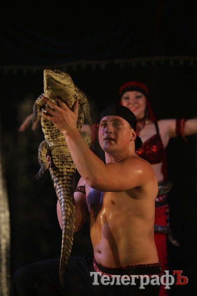 Цирк на воде Цирк на воде