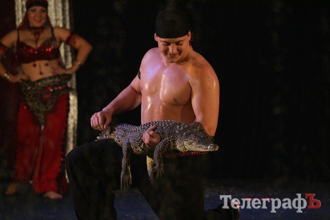 Цирк на воде Цирк на воде