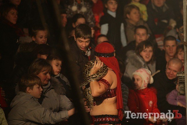 Цирк на воде Цирк на воде