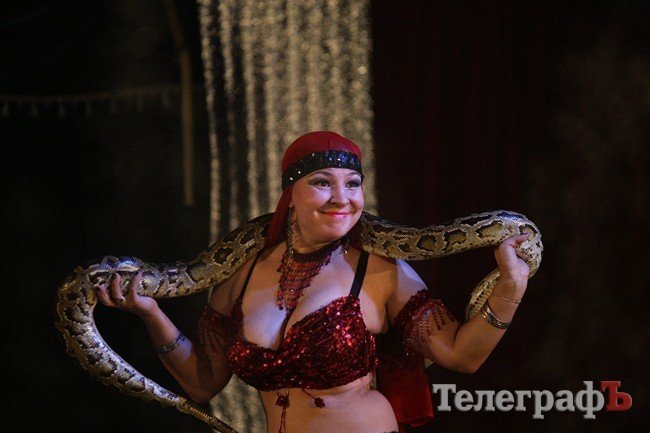 Цирк на воде Цирк на воде