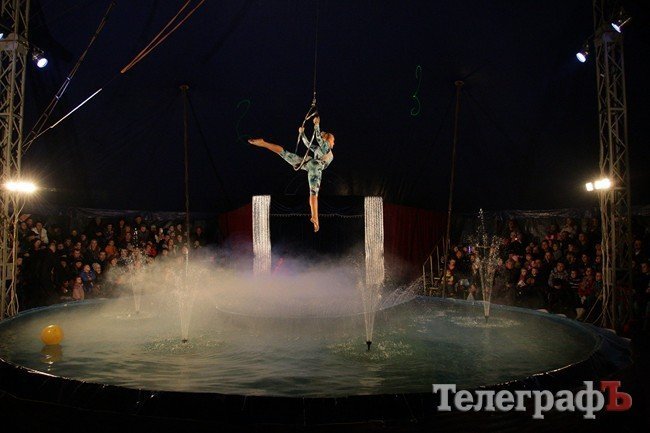 Цирк на воде Цирк на воде