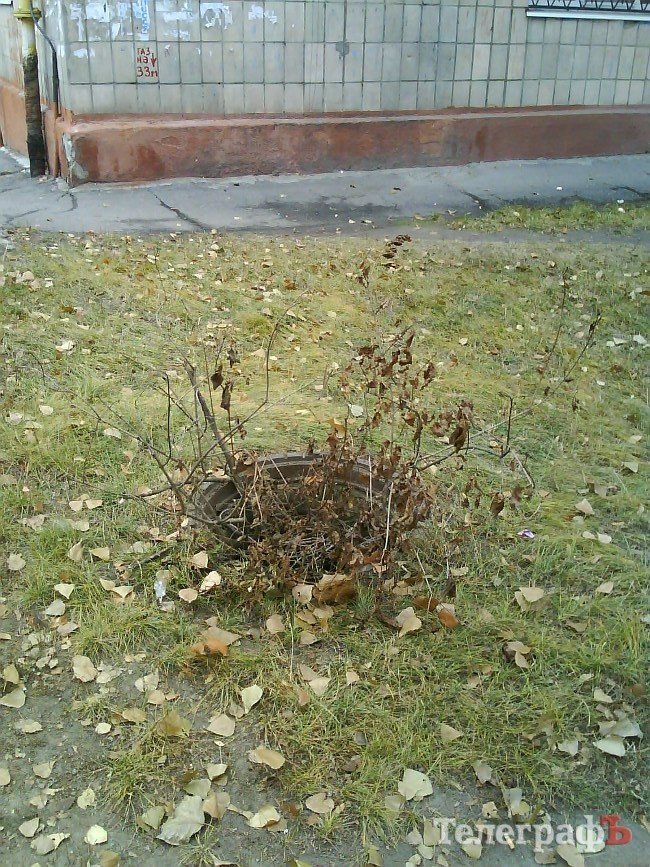 Разрытые улицы Молодежного и ямы вместо люков (ФОТОФАКТ) Разрытые улицы Молодежного и ямы вместо люков (ФОТОФАКТ)