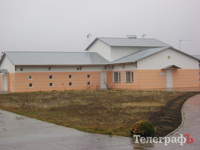 Чем жизнь одесских собак отличается от жизни их кременчугских сородичей (ФОТОРЕПОРТАЖ) Чем жизнь одесских собак отличается от жизни их кременчугских сородичей (ФОТОРЕПОРТАЖ)
