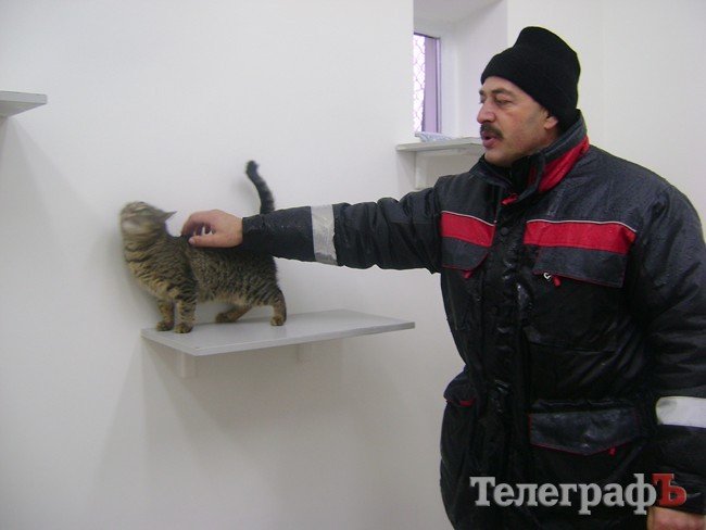 Чем жизнь одесских собак отличается от жизни их кременчугских сородичей (ФОТОРЕПОРТАЖ) Чем жизнь одесских собак отличается от жизни их кременчугских сородичей (ФОТОРЕПОРТАЖ)