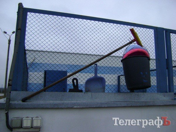 Чем жизнь одесских собак отличается от жизни их кременчугских сородичей (ФОТОРЕПОРТАЖ) Чем жизнь одесских собак отличается от жизни их кременчугских сородичей (ФОТОРЕПОРТАЖ)