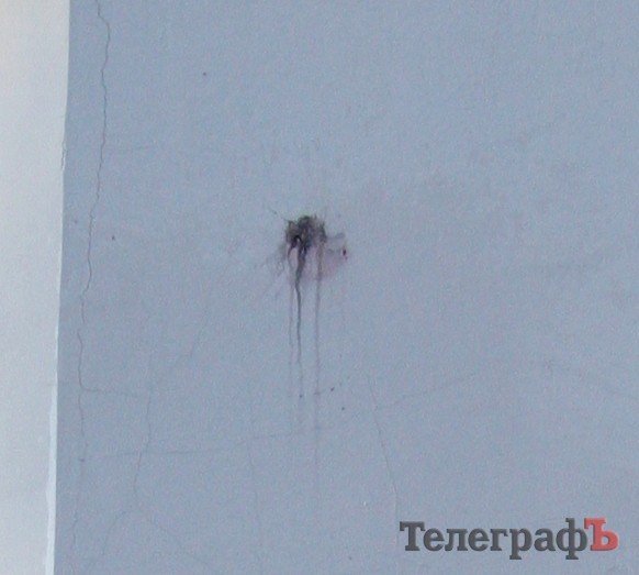 В новогоднюю ночь в Кременчуге неизвестные подожгли синагогу (ФОТО) В новогоднюю ночь в Кременчуге неизвестные подожгли синагогу (ФОТО)