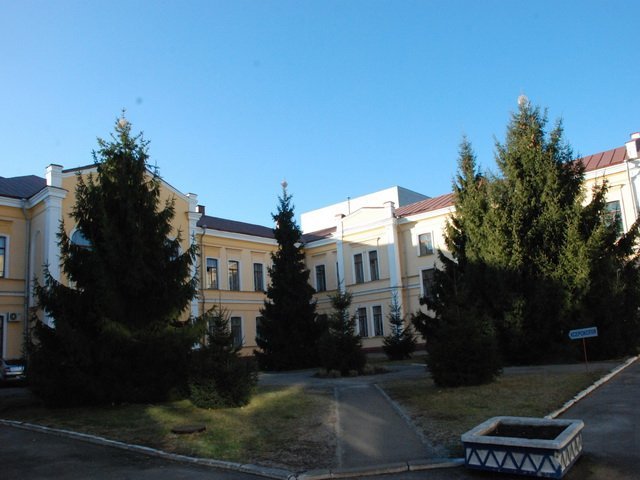 В Кременчуге определили самую красивую елку (ФОТО) В Кременчуге определили самую красивую елку (ФОТО)