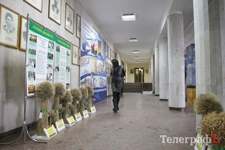 В мэрии стелют ковры Януковичу (ФОТО) В мэрии стелют ковры Януковичу (ФОТО)