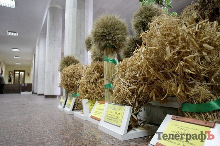 В мэрии стелют ковры Януковичу (ФОТО) В мэрии стелют ковры Януковичу (ФОТО)