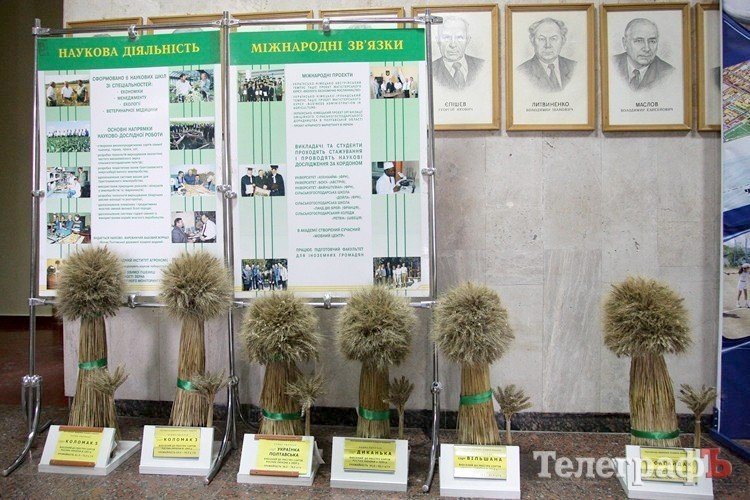 В мэрии стелют ковры Януковичу (ФОТО) В мэрии стелют ковры Януковичу (ФОТО)