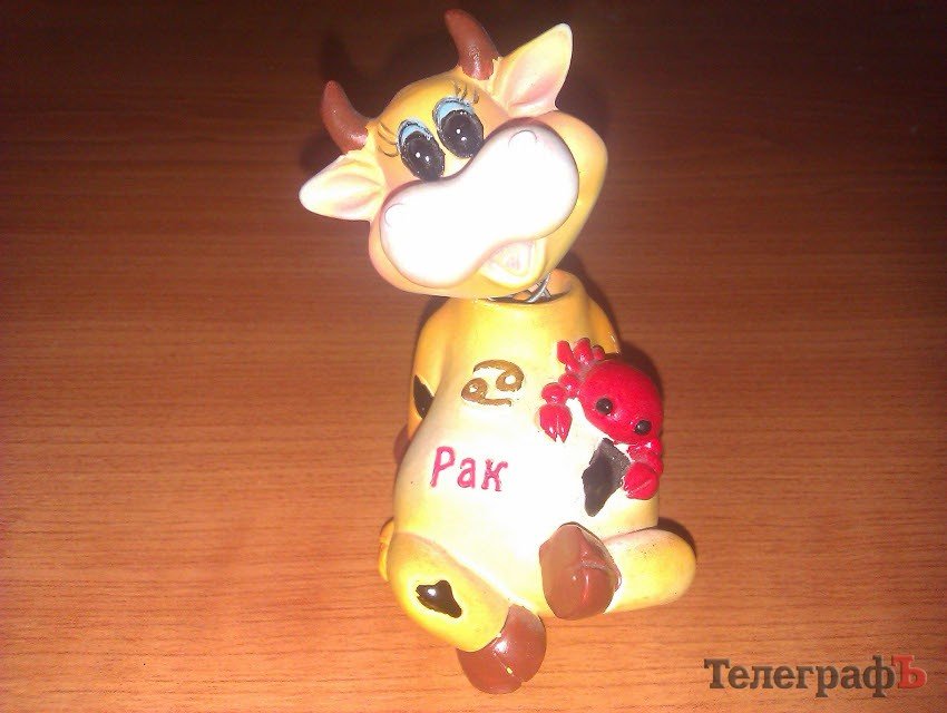 Приколы нашего городка: корова-рак (ФОТО) Приколы нашего городка: корова-рак (ФОТО)