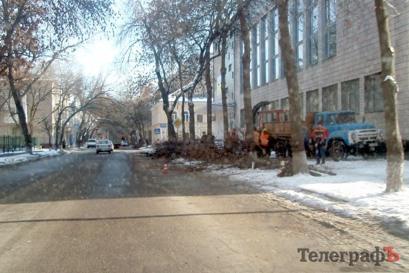 Коммунальники начали кронировать деревья в центре Кременчуга (ФОТО) Коммунальники начали кронировать деревья в центре Кременчуга (ФОТО)