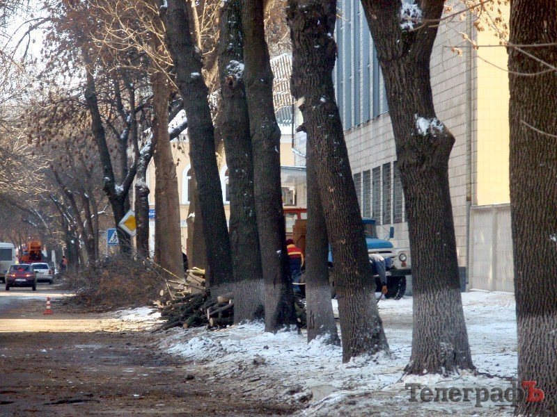 Коммунальники начали кронировать деревья в центре Кременчуга (ФОТО) Коммунальники начали кронировать деревья в центре Кременчуга (ФОТО)