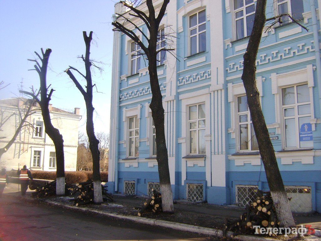 В Кременчуге снова режут липы (ФОТО) В Кременчуге снова режут липы (ФОТО)
