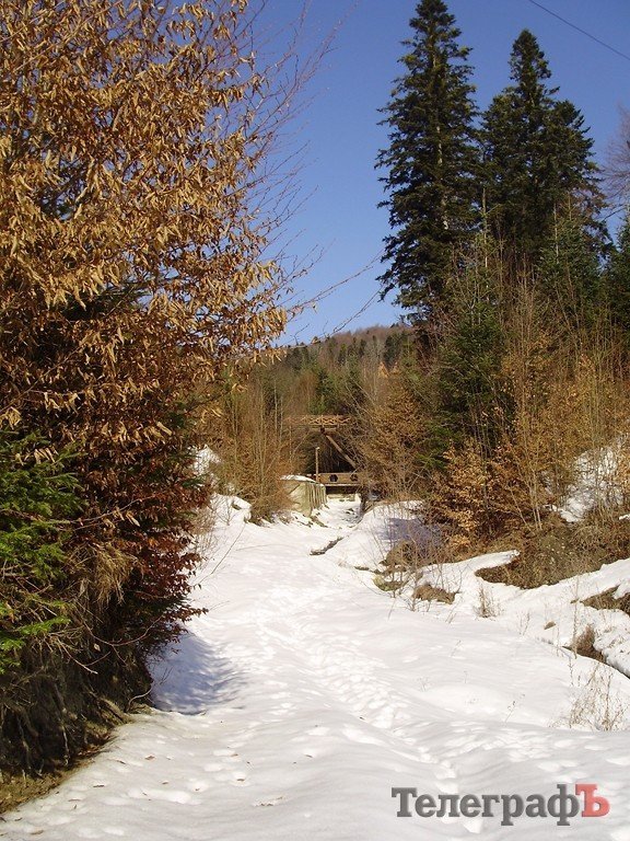 Весна в Карпатах (ФОТОРЕПОРТАЖ) Весна в Карпатах (ФОТОРЕПОРТАЖ)