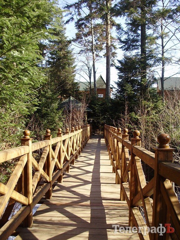 Весна в Карпатах (ФОТОРЕПОРТАЖ) Весна в Карпатах (ФОТОРЕПОРТАЖ)