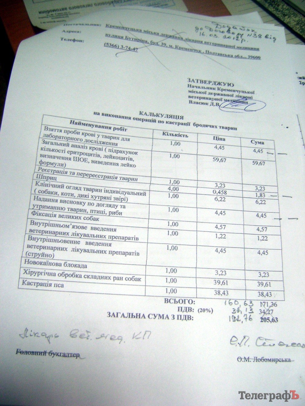 В Кременчуге хотят заработать на собаках В Кременчуге хотят заработать на собаках
