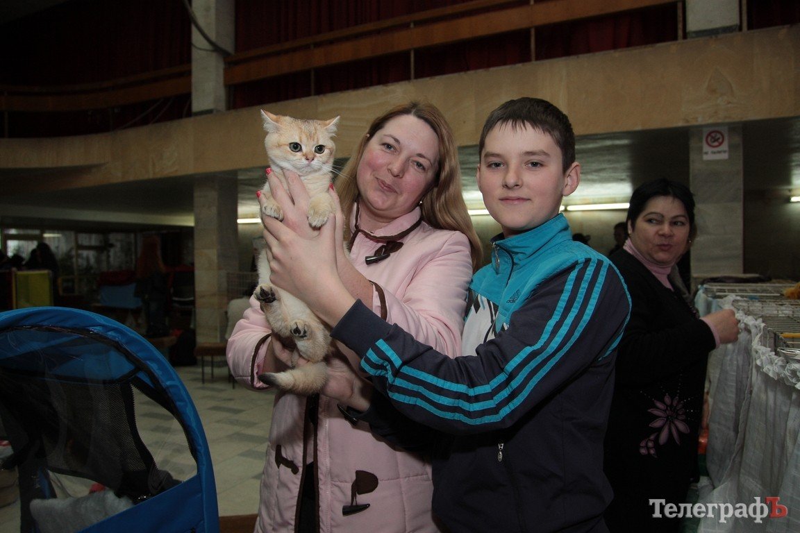 Какие котятки у нас в Кременчуге!!!(ФОТО) Какие котятки у нас в Кременчуге!!!(ФОТО)