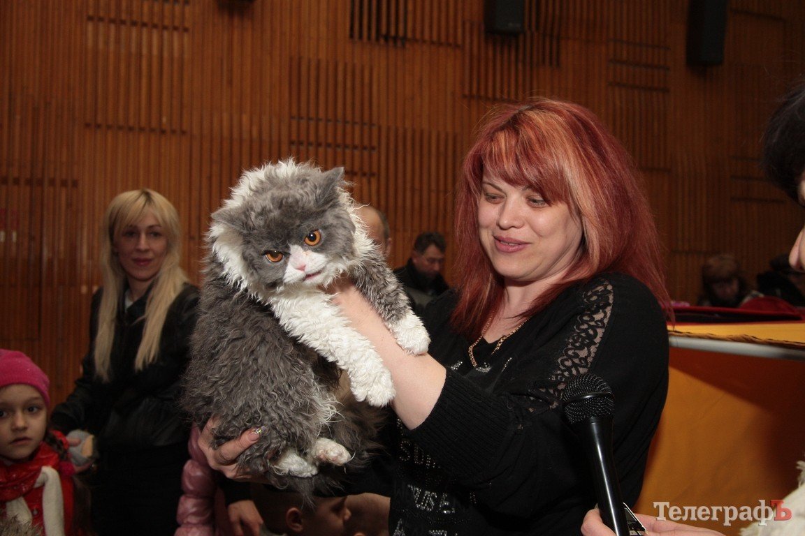 Какие котятки у нас в Кременчуге!!!(ФОТО) Какие котятки у нас в Кременчуге!!!(ФОТО)