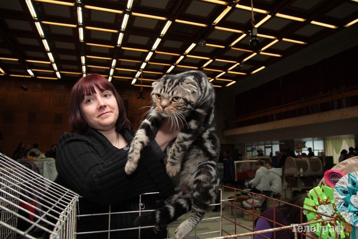 Какие котятки у нас в Кременчуге!!!(ФОТО) Какие котятки у нас в Кременчуге!!!(ФОТО)