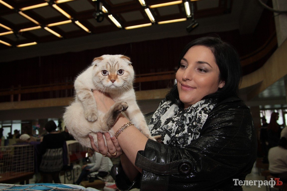 Какие котятки у нас в Кременчуге!!!(ФОТО) Какие котятки у нас в Кременчуге!!!(ФОТО)