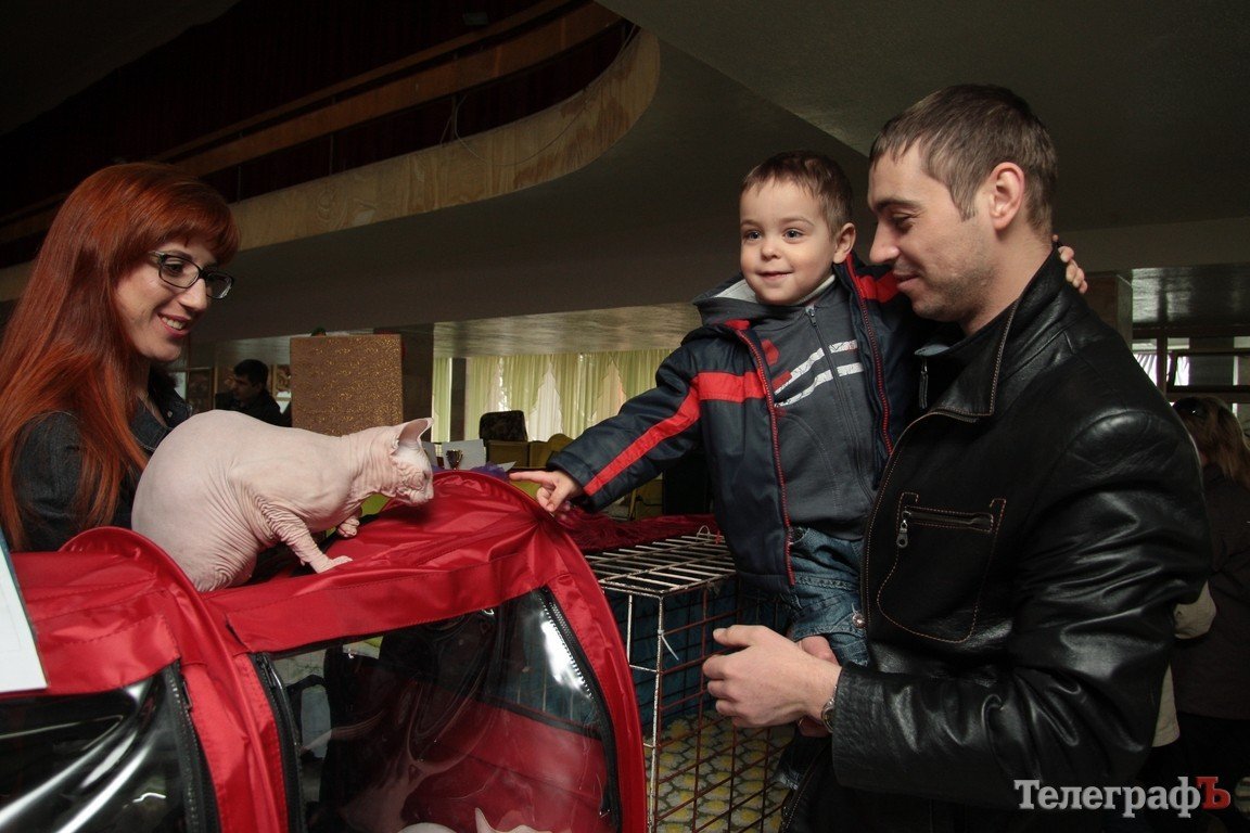 Какие котятки у нас в Кременчуге!!!(ФОТО) Какие котятки у нас в Кременчуге!!!(ФОТО)