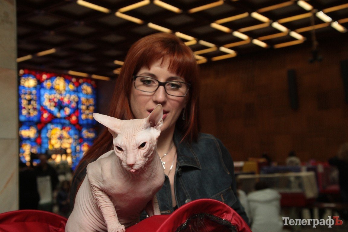 Какие котятки у нас в Кременчуге!!!(ФОТО) Какие котятки у нас в Кременчуге!!!(ФОТО)