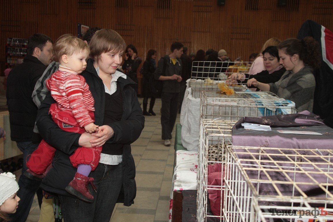 Какие котятки у нас в Кременчуге!!!(ФОТО) Какие котятки у нас в Кременчуге!!!(ФОТО)