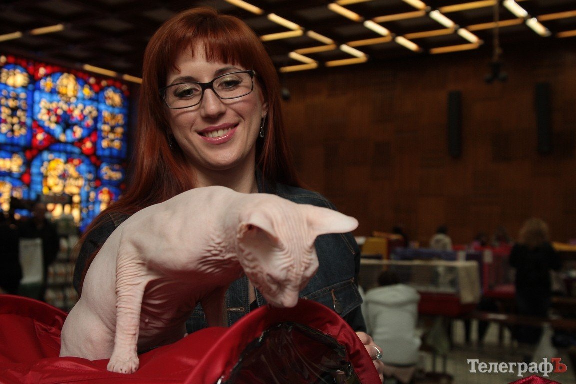 Какие котятки у нас в Кременчуге!!!(ФОТО) Какие котятки у нас в Кременчуге!!!(ФОТО)