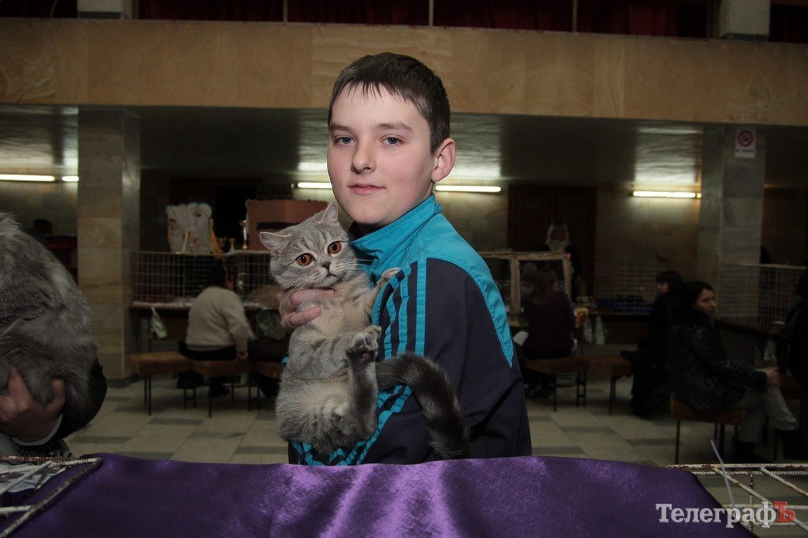 Какие котятки у нас в Кременчуге!!!(ФОТО) Какие котятки у нас в Кременчуге!!!(ФОТО)