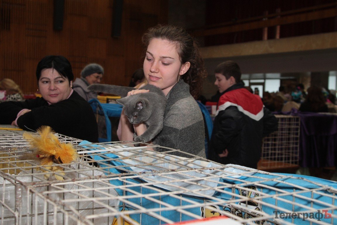 Какие котятки у нас в Кременчуге!!!(ФОТО) Какие котятки у нас в Кременчуге!!!(ФОТО)