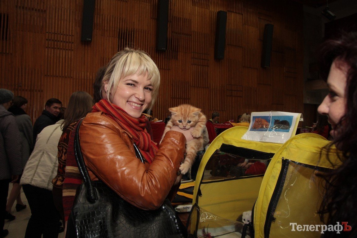 Какие котятки у нас в Кременчуге!!!(ФОТО) Какие котятки у нас в Кременчуге!!!(ФОТО)